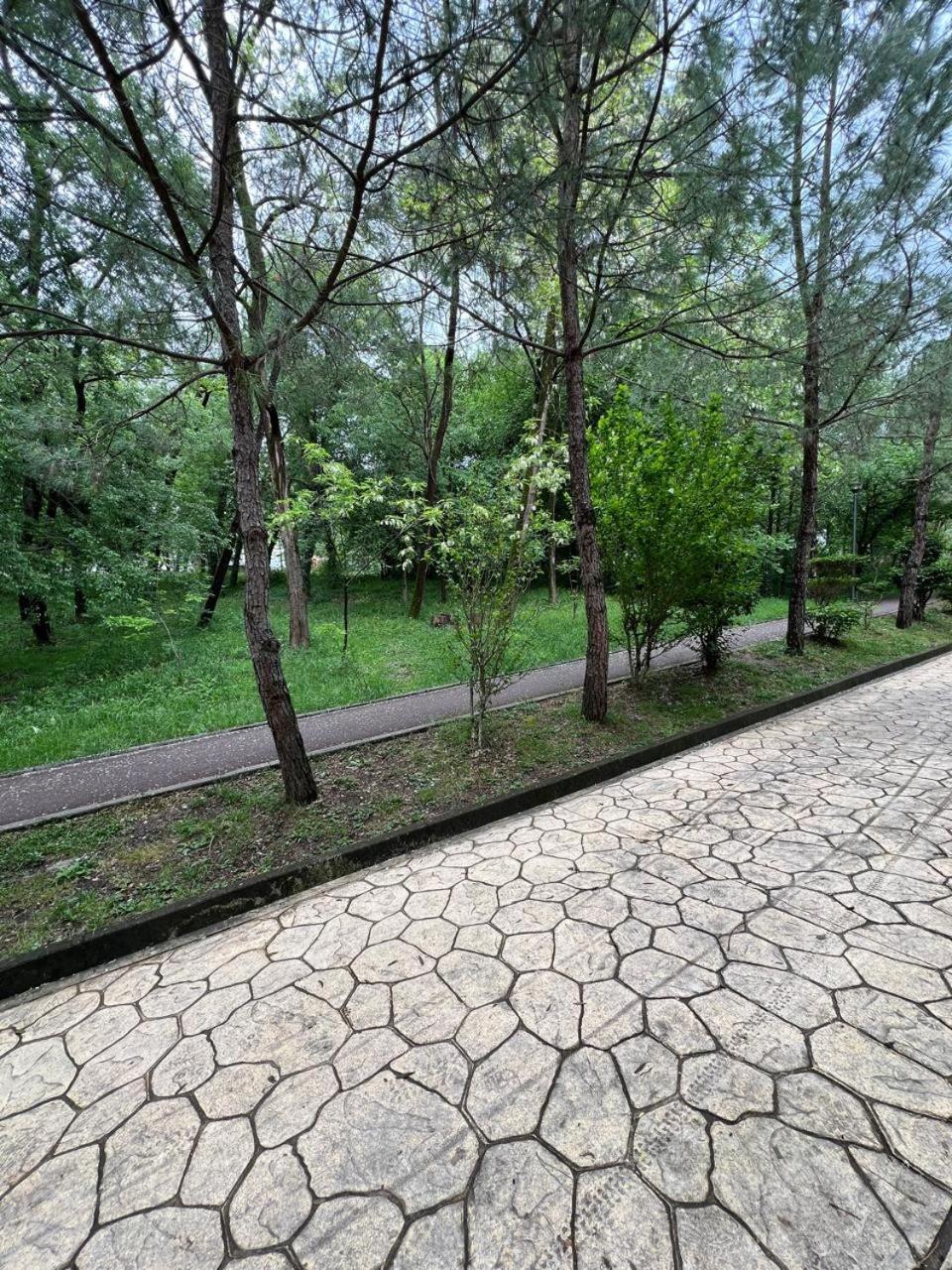 Cozy Flat Near Air Albania Stadium 1 Tiranë Ngoại thất bức ảnh
